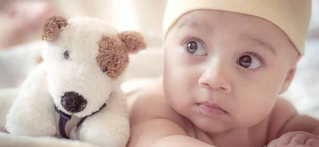 Newborns.Jpg
