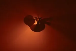 Northeast Doulas – Why You Should Avoid Alcohol During Pregnancy